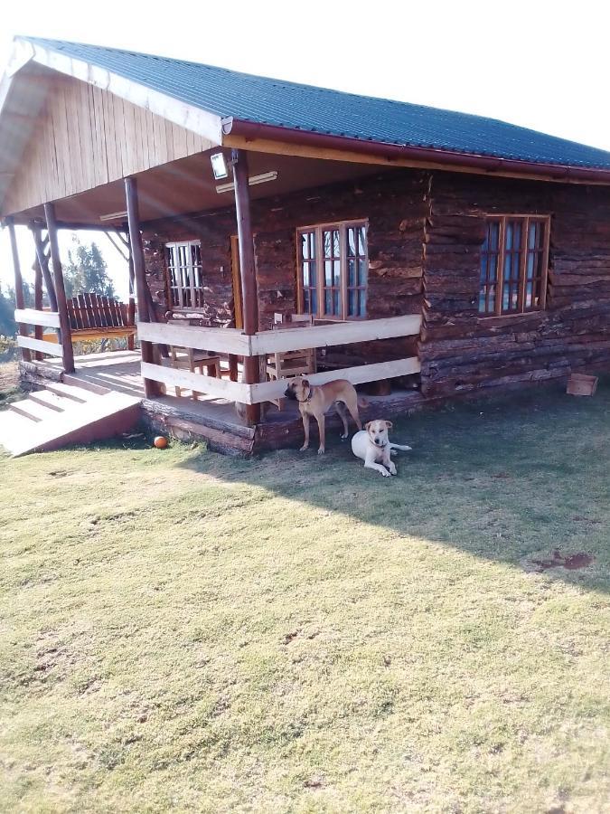 Apartamento The Wonky House Timau Exterior foto